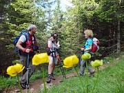 Solstizio d’estate …freschissimo alla Grotta dei Pagani in Presolana il 21 giugno 2014 - FOTOGALLERY